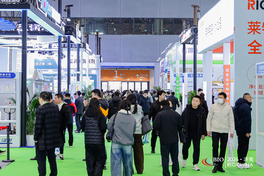 0B9A6090-opq4425157307.jpg 0B9A6090-opq4425157307.jpg